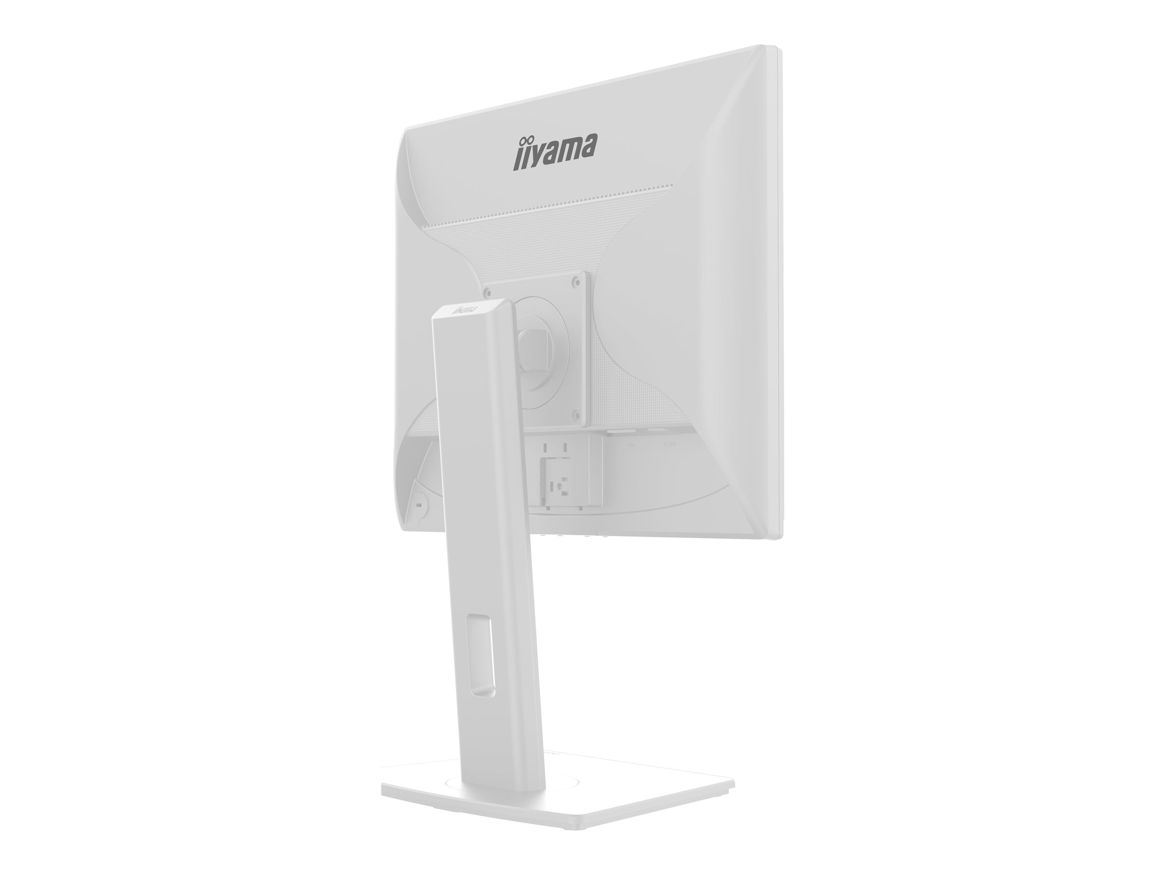Iiyama ProLite B1980S-W1 - LED-Monitor - 19 Zoll Display
