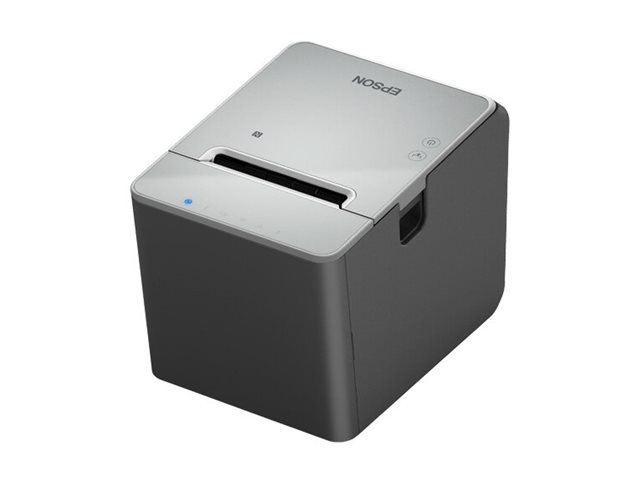 Epson TM L100 (111) - Receipt printer - Thermal line
