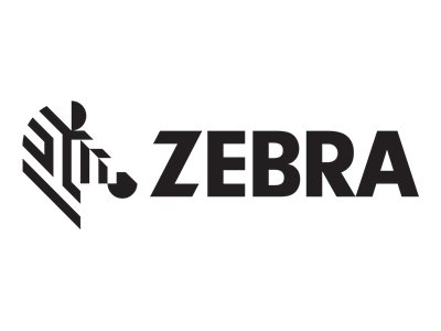 Zebra 8000T Void Matte - Polyester - matt - Klebstoff - Silber - 25 x 51 mm 5000 Etikett(en) (2 Rolle(n)