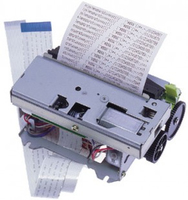 Epson C41D420001 - Metallisch - 1 Stück(e)