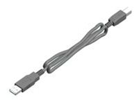 Zebra ZD621d - Etikettendrucker - Thermodirekt - Rolle (10,8 cm)