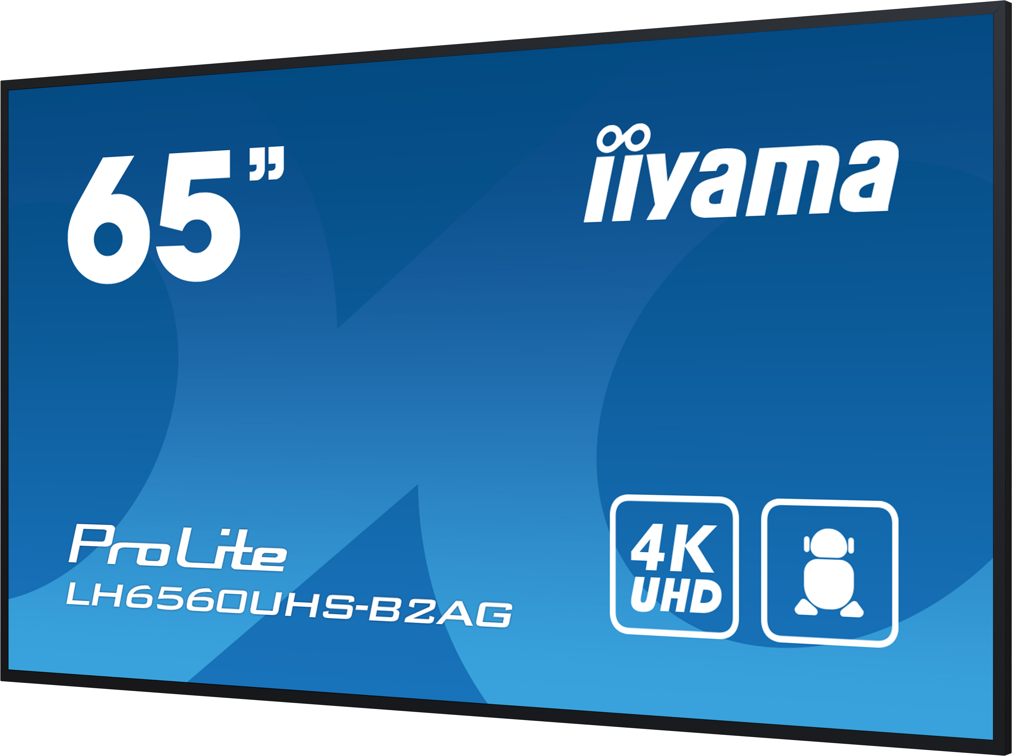4K Digital-Signage-Display iiyama ProLite LH6560UHS-B2AG 65 Zoll