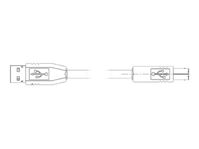 Zebra USB cable - USB (M) to USB Type B (M)