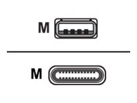 Zebra USB cable - USB (M) to USB-C (M)