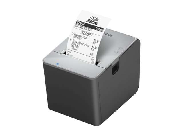 Epson TM L100 (121) - Belegdrucker - Thermozeile