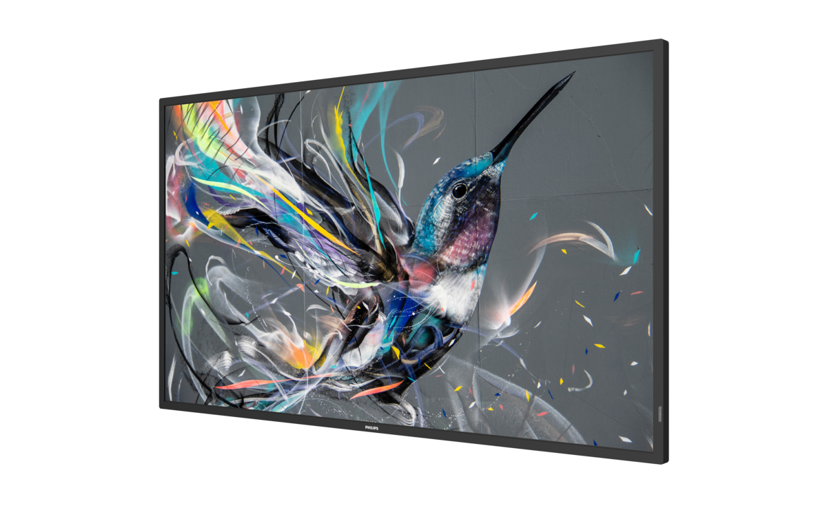 Philips 43BDL3511Q - 109 cm (43") 42.5-inch diagonal class display