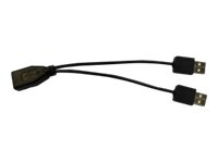 Star Y-Adapterkabel