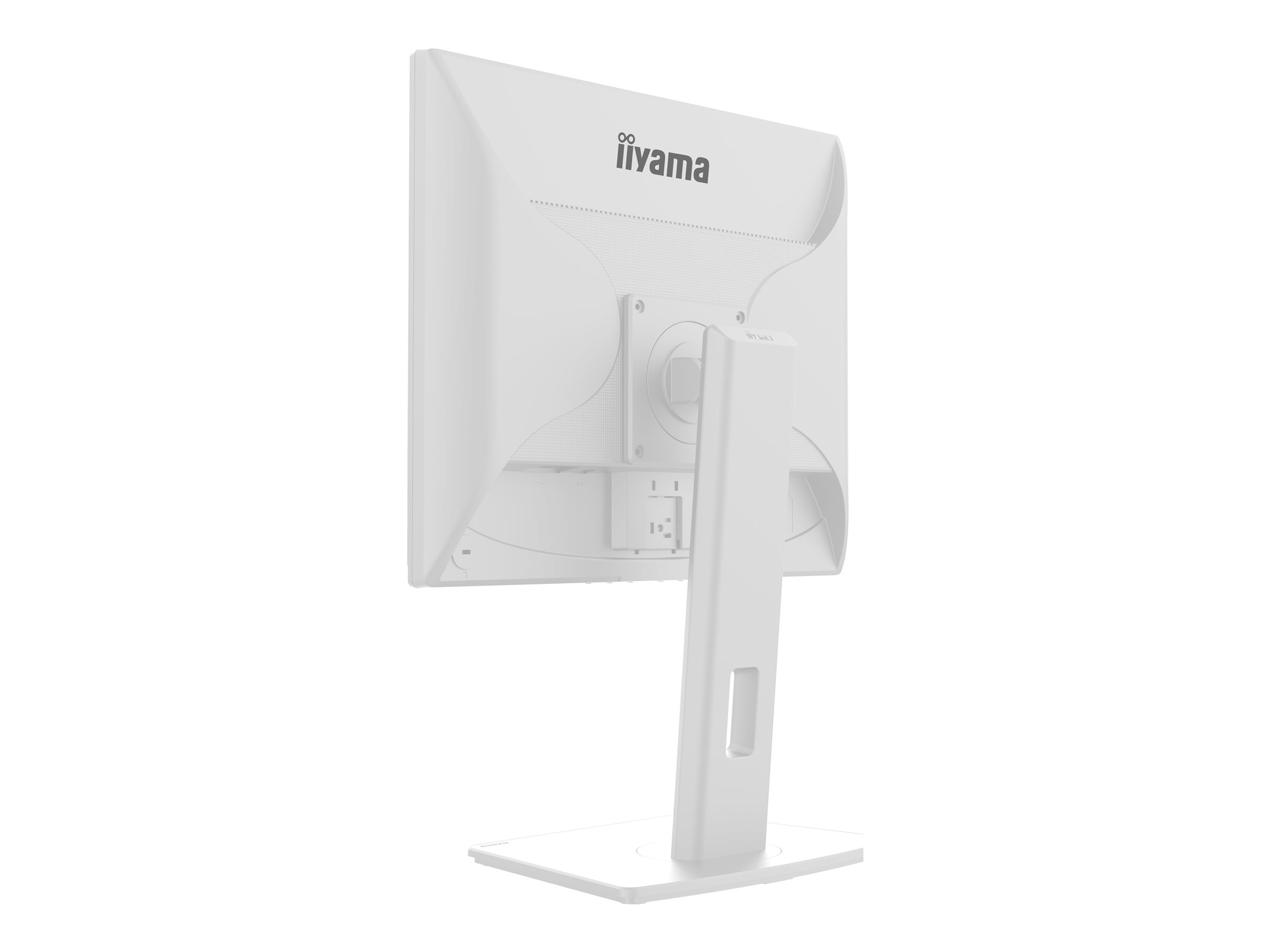 Iiyama ProLite B1980S-W1 - LED-Monitor - 19 Zoll Display