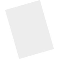 Zebra Schutzfolie (Packung mit 5) - für Zebra MC9300