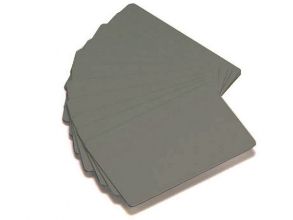 Zebra Plastikkarten Silber metallic